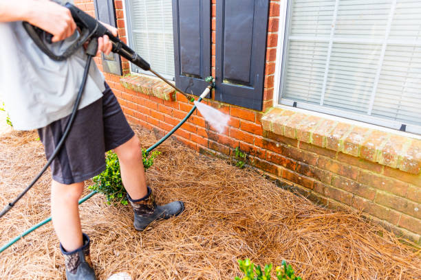 istock Person cleaning brick wall with pressure washer. 1482880653