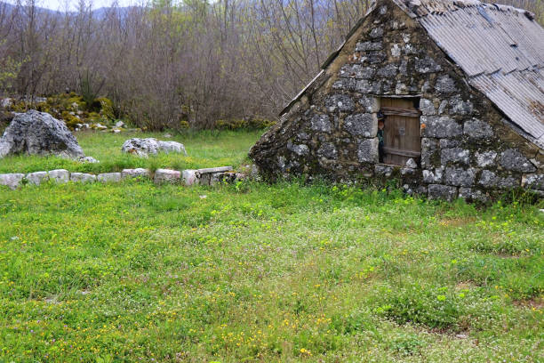 istock Old Cottage and Wild Flowers 1482881770