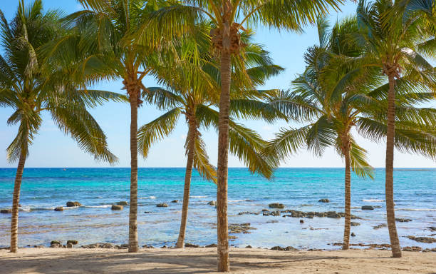 istock Beautiful tropical beach, summer holidays concept, Mexico. 1482882749
