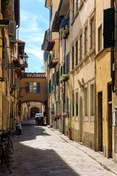 istock Alley in Florence, Italy 1482886114