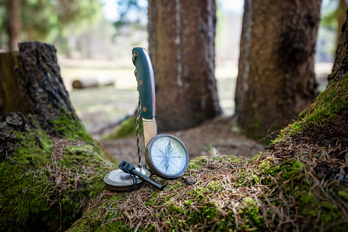 Bushcraft knife, flint/steel, navigational compass on a mossy stump covered by pine tree needles