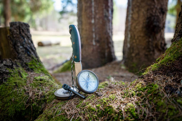 Bushcraft knife, flint, navigation compass on a mossy stump covered by pine tree needles Bushcraft knife, flint/steel, navigational compass on a mossy stump covered by pine tree needles survival tools stock pictures, royalty-free photos & images