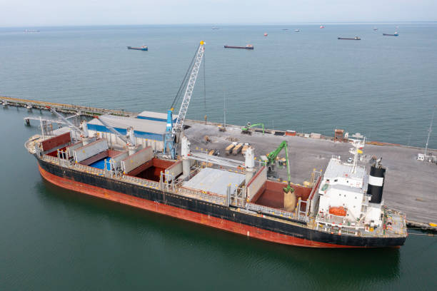 istock Loading grain into sea cargo vessel in commercial port. 1482890520