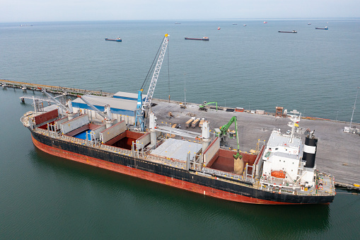 Loading grain into sea cargo vessel in commercial port from trucks.