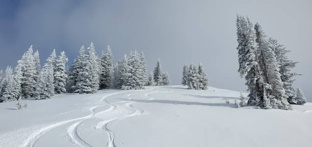 vistas de vail - powder snow ski ski track track fotografías e imágenes de stock