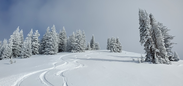 Colorado Rockies Scenery, skiing in Vail, Colorado