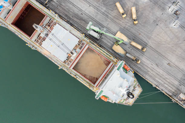 istock Loading grain into sea cargo vessel in commercial port. 1482891687