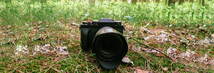 professional camera on grass in the forest