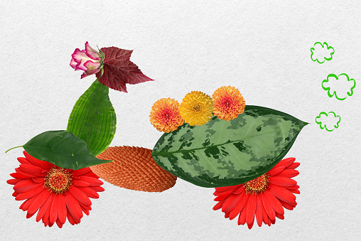 Collage of flowers and leaves on natural paper, designed in the form of a scooter to recall the concept of green, ecological transportation and mobility