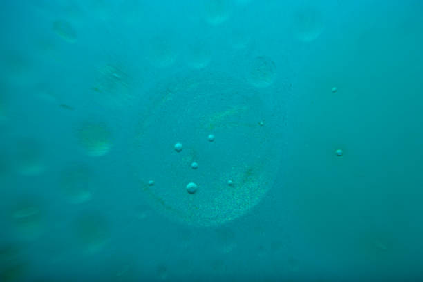 istock Turquoise background of macro drops in water 1482896382