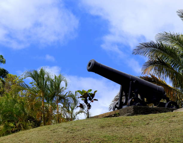 istock Cannon in the Tropics 1482896799