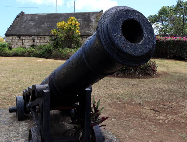 istock Cannon in the Tropics 1482896881