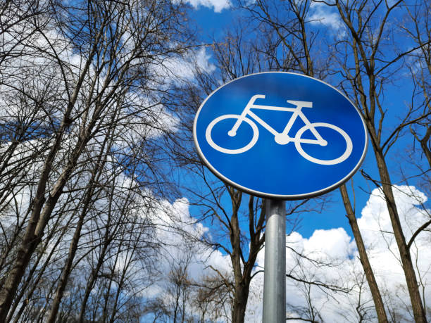 istock Bicycles Only Road Sign. 1482898567