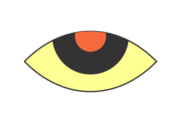 istock Retro boho open eye. Psychedelic groovy hippie style minimal bohemian design. Vintage hippy crazy esoteric pupil sticker. Abstract 60s, 70s, 80s trendy y2k vector illustration 1482903166