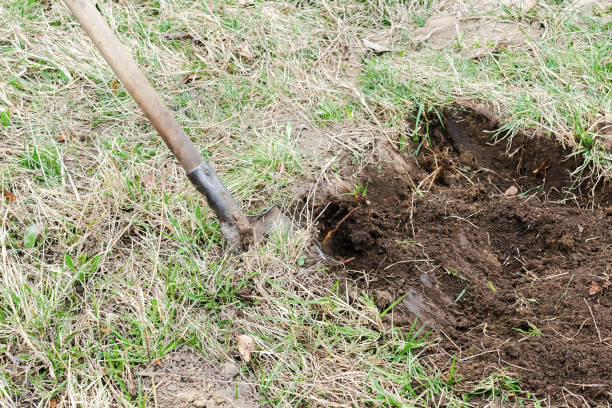 istock digging ploughing soil, ground with shovel in garden, field, forest in spring or autumn, agriculture agronomy close up 1482904218