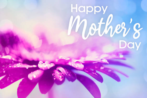 Close-up of a beautiful purple Gerbera flower with water drops and Happy Mother's Day lettering. Beautiful heart shaped bokeh - it's a REAL bokeh photo, not an illustration or computer filter. Shallow depth of field.