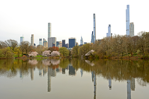 Landscape with Turtle Pond in Central Park and skyscrapers and towers in Manhattan in spring. New York City