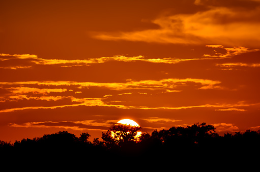 Orange sun, against orange sky, setting behind the trees July, Perdido Key, Florida