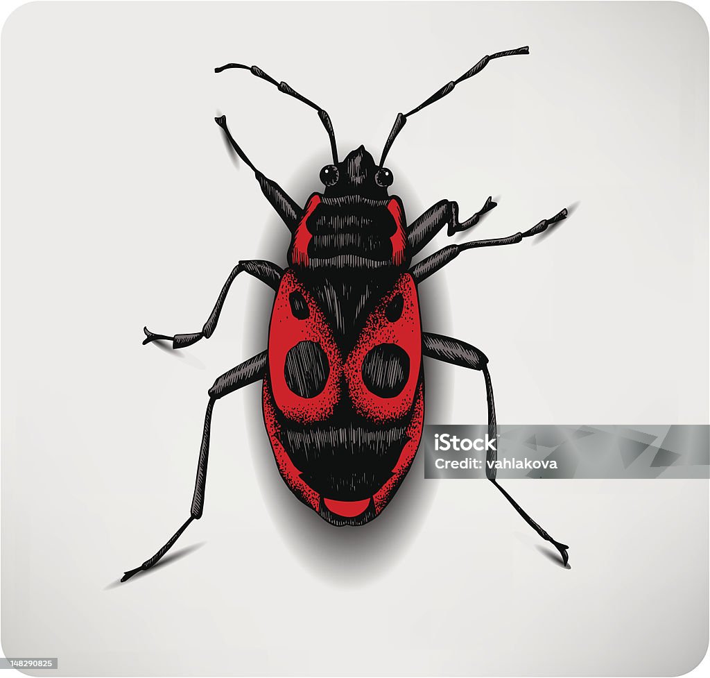 Red Käfer, hand-Zeichnung. Vektor-illustration. - Lizenzfrei Insekt Vektorgrafik