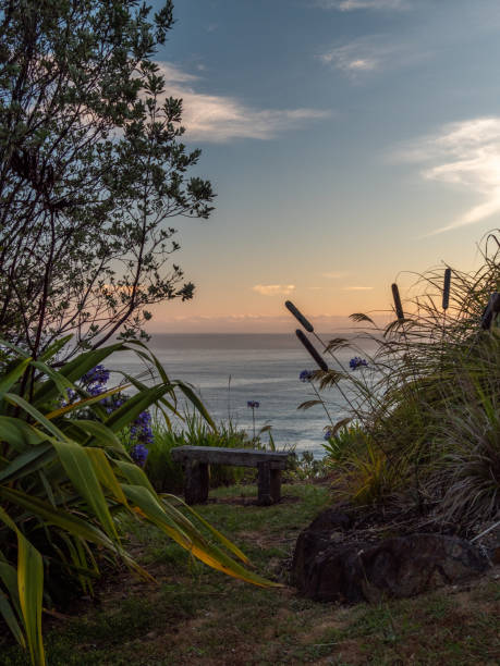 istock Bench over ocean at sunrise 1482910561