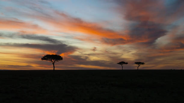 istock Vibrant Sunrise over the North Mara Conservancy 1482913482