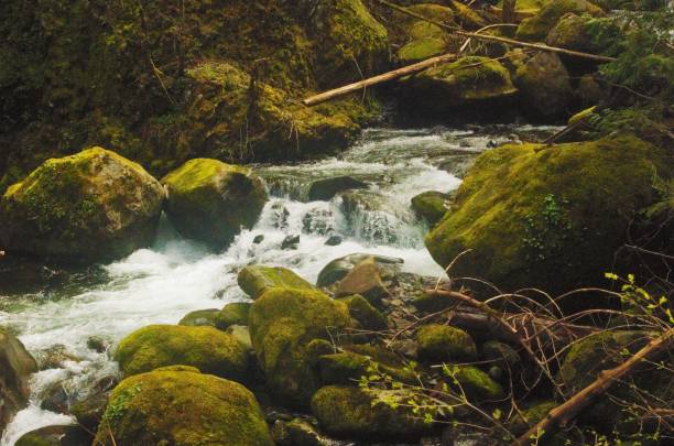 istock Water flowing and bubbling in creek 1482914806