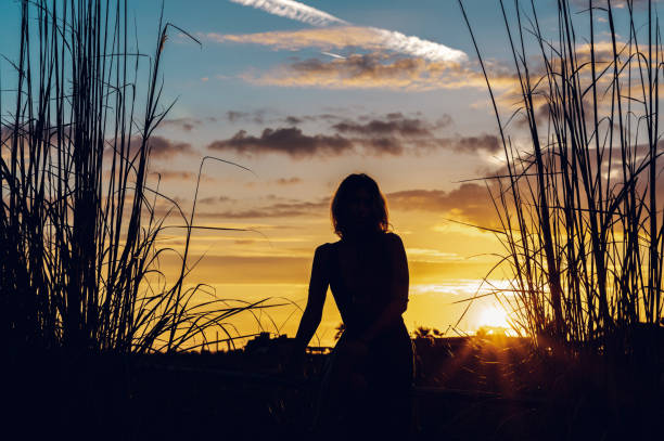 Free Stock Photo of Silhouette of a person at sunset in tall grass ...