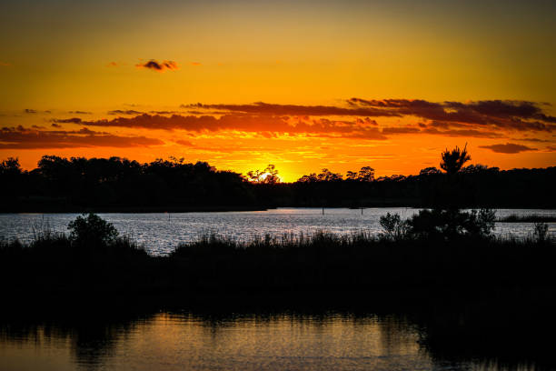 istock The Colors Of Sunset 1482916336