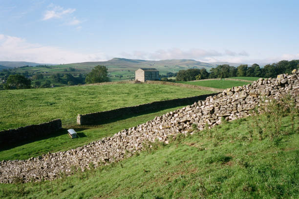 istock Stone walls on hill in Yorkshire Dales 1482916387