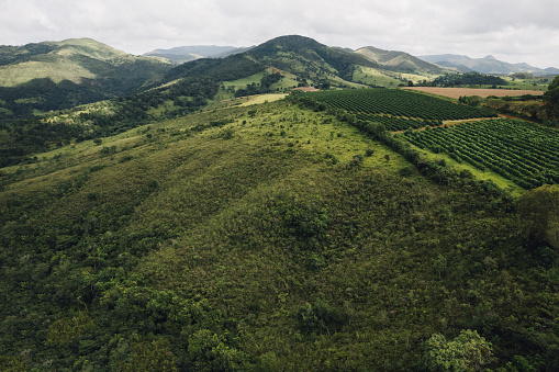 Mountains and coffee plantations in Minas Gerais, Brazil