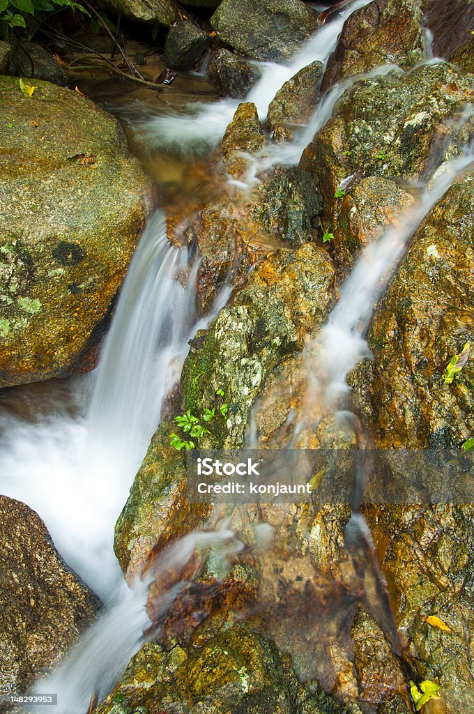 小さな滝と美しい自然の - スウィフト川のロイヤリティフリーストックフォト