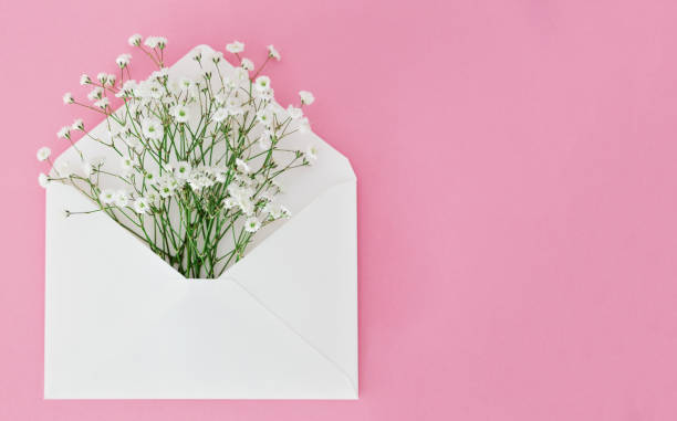 istock White envelope with small gypsophila flowers on pink background 1482940856