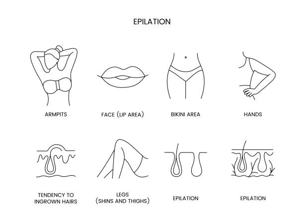 脱毛ゾーン ベクター画像内の線のアイコンのセット、編集可能なストローク。脚のすねと太もも、手とビキニの部分、顔の唇の部分と脇の下、埋没毛の傾向をイラスト - 人間の腕点のイラスト素材／クリップアート素材／マンガ素材／アイコン素材