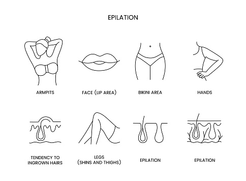 Epilation zones set of line icons in vector, editable stroke. Illustration legs shins and thighs, hands and bikini area, face lip area and armpits, tendency to ingrown hairs.