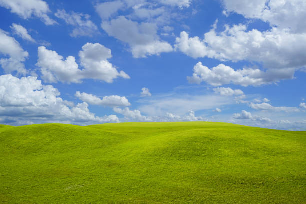 istock Green grass field on blue sky with cloud background. Green meadow under blue sky with clouds. 1482953220