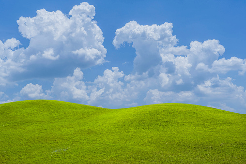 Green grass field on blue sky with cloud background. Green meadow under blue sky with clouds.