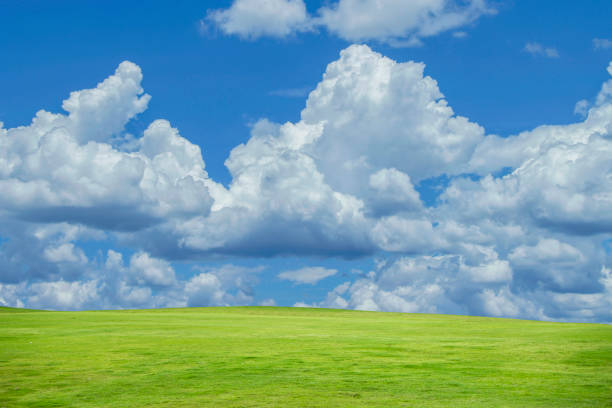 istock Green grass field on blue sky with cloud background. Green meadow under blue sky with clouds. 1482954800