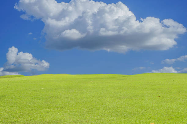 istock Green grass field on blue sky with cloud background. Green meadow under blue sky with clouds. 1482954809