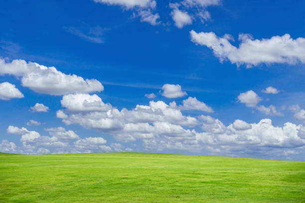 istock Green grass field on blue sky with cloud background. Green meadow under blue sky with clouds. 1482954818