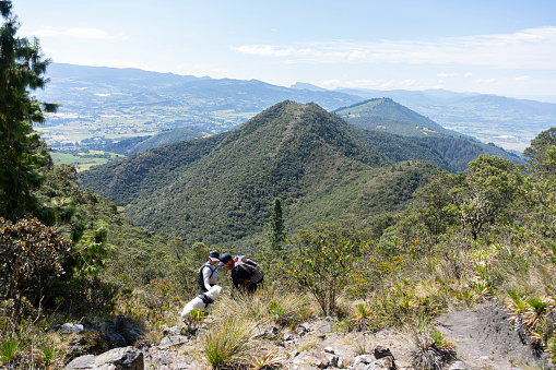 group of friends walking on the mountain, enjoying the landscape with their pets.