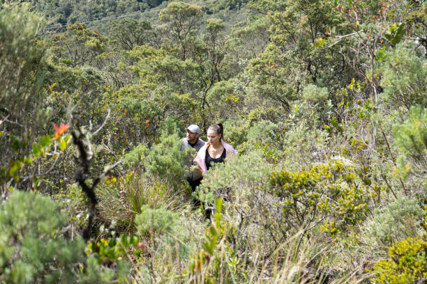 istock group of friends walking on the mountain. 1482955046