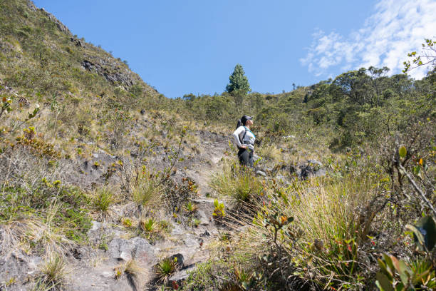istock group of friends walking on the mountain. 1482955070