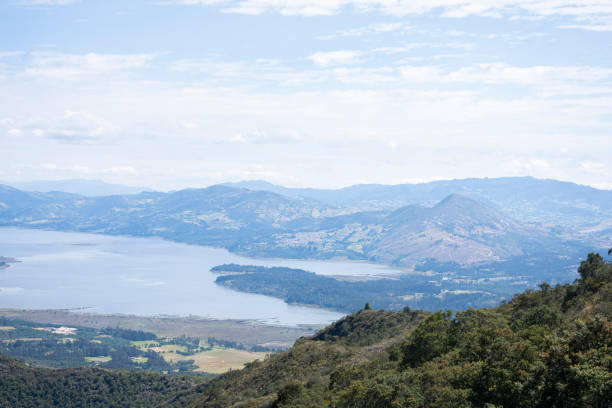 group of friends walking on the mountain, enjoying the landscape with their pets.