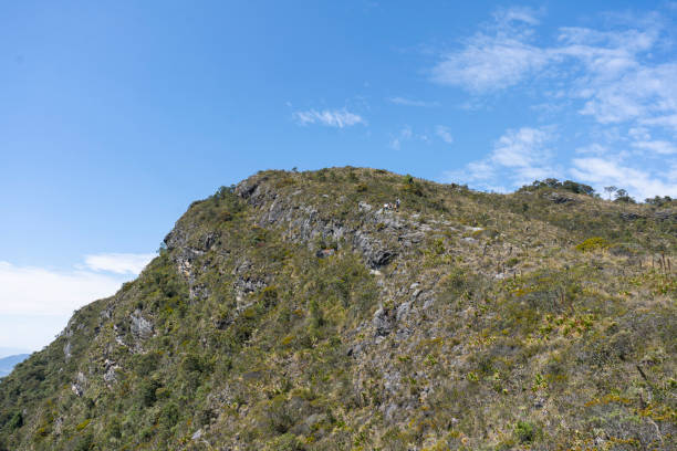 group of friends walking on the mountain, enjoying the landscape with their pets.