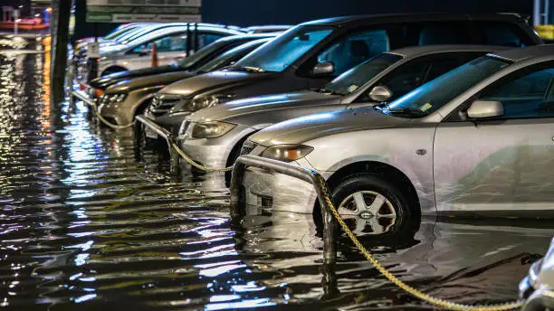 Flooding in Auckland, cars for sale in water