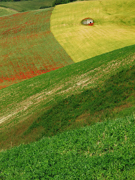 rural landscape stock photo