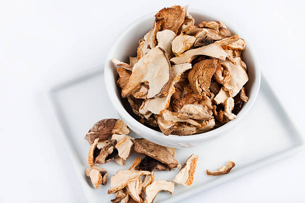 Dried wild mushrooms stock photo