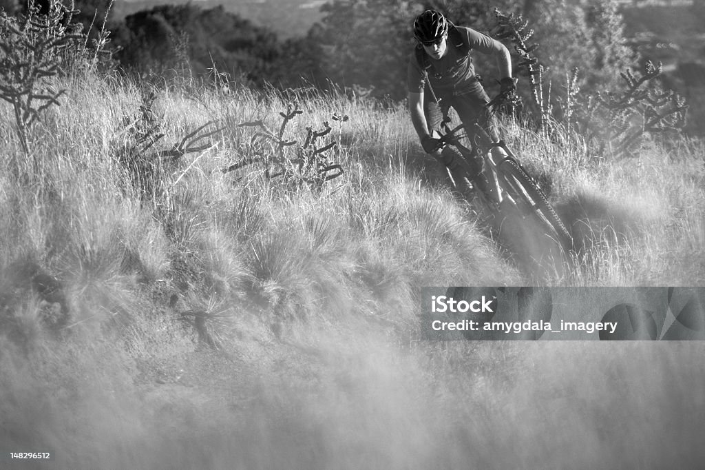 Le VTT - Photo de Adulte libre de droits