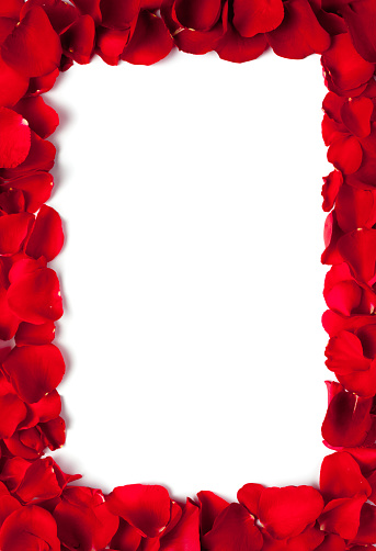 Frame made from red rose petals