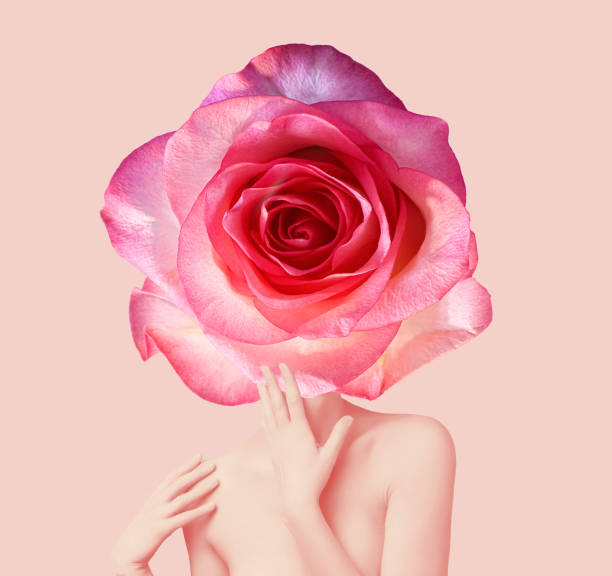 Abstract contemporary art design. A womans body with red rose head